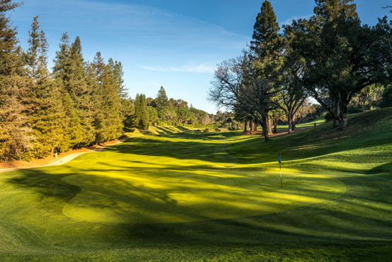 Tree-lined golf landscape at Sharon Heights